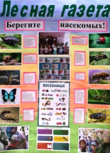 Подробнее о статье «Насекомые нашего края»