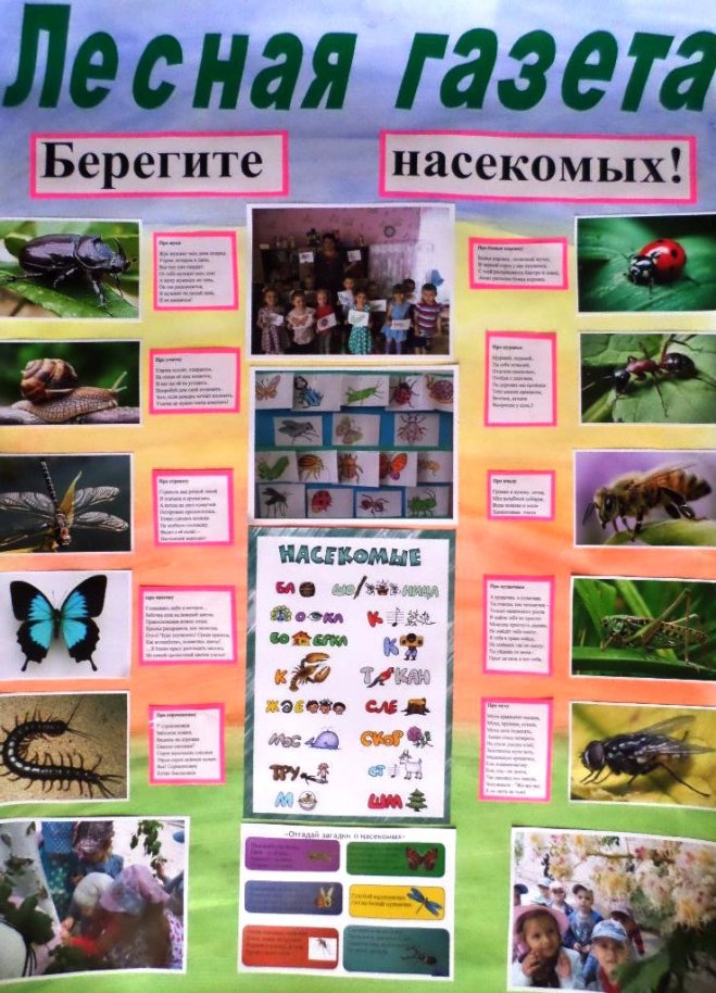 Вы сейчас просматриваете «Насекомые нашего края»