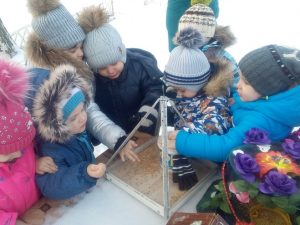 Подробнее о статье «Трудно птицам зимовать, нужно птицам помогать!»