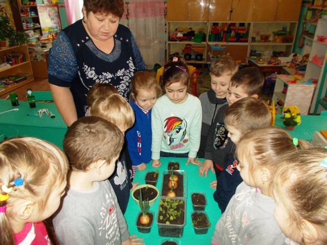 Вы сейчас просматриваете Познавательно-исследовательская деятельность в группе «Ягодки-цветочки»