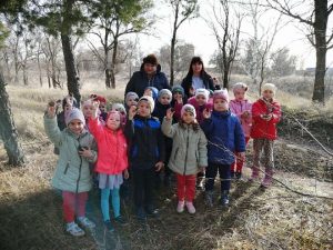 Подробнее о статье Прогулка в природу в период поздней осени