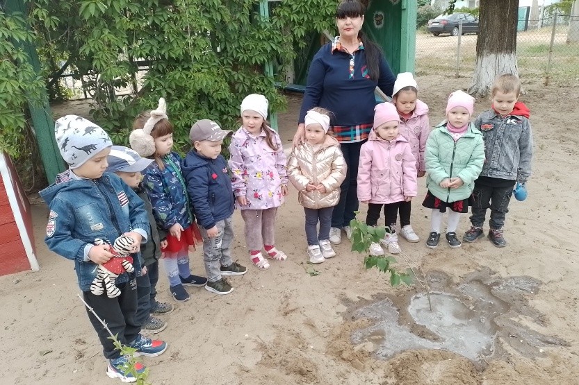 Подробнее о статье Акция. « Зацветёт сирень в честь Победы»