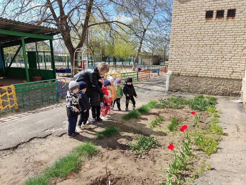 Вы сейчас просматриваете Любим мы всегда гулять, за природой наблюдать!