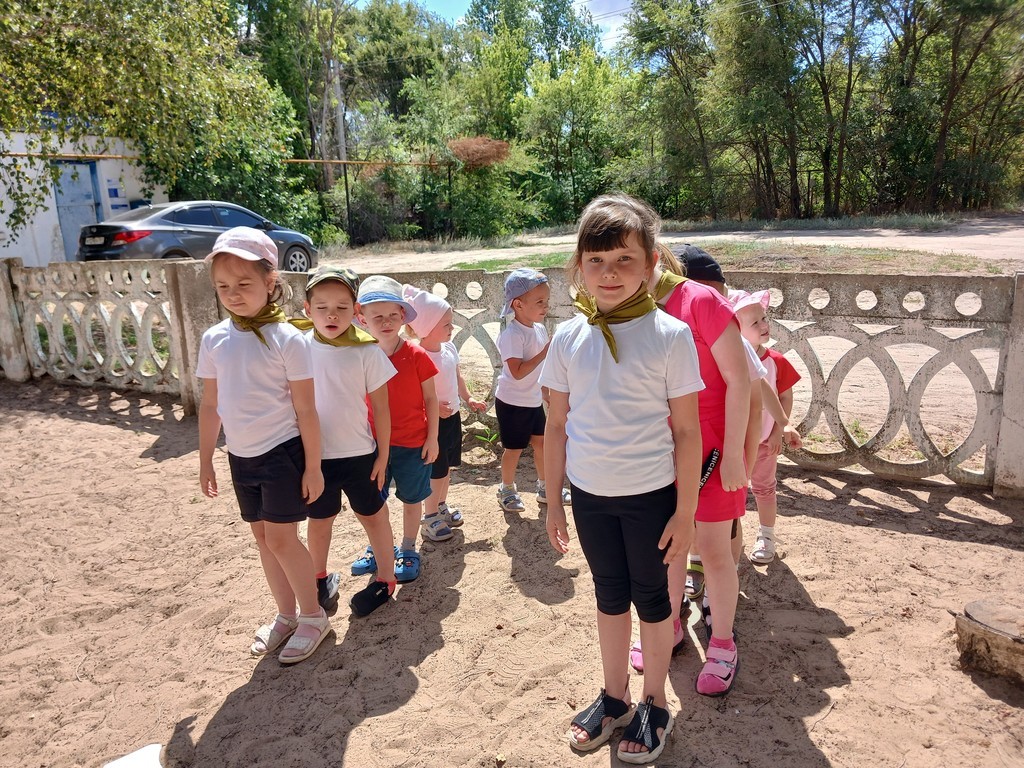 Подробнее о статье Зарница